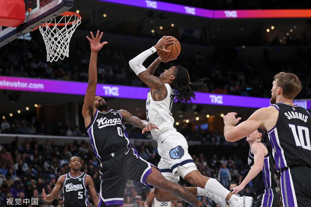 风险提示 风险提示